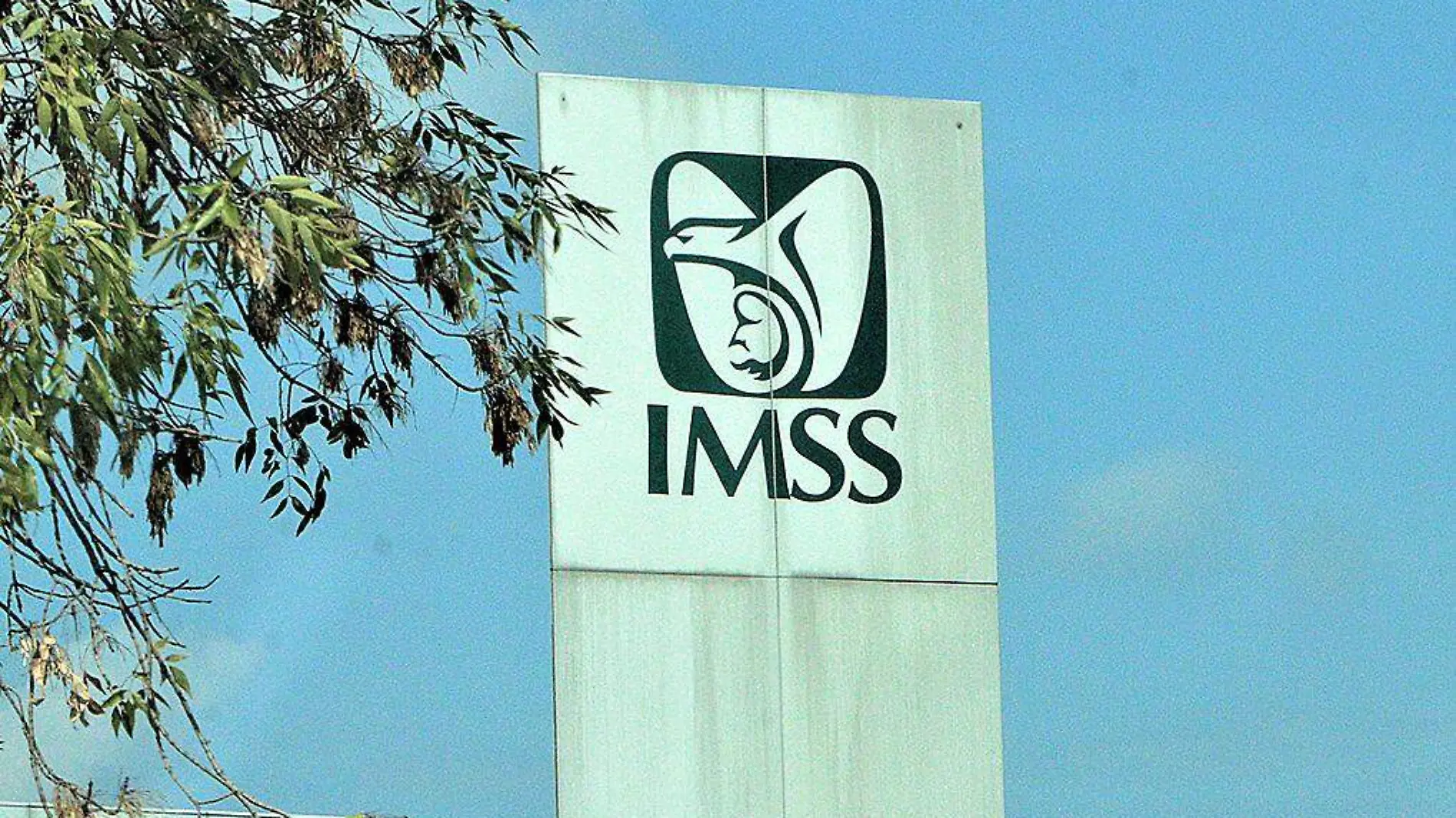 Logo IMSS en un edificio